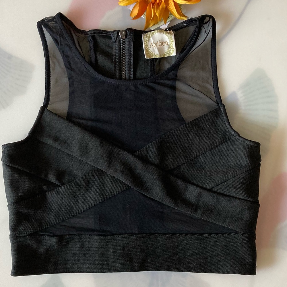Alythea Criss Cross and Mesh Crop Top NWT size M